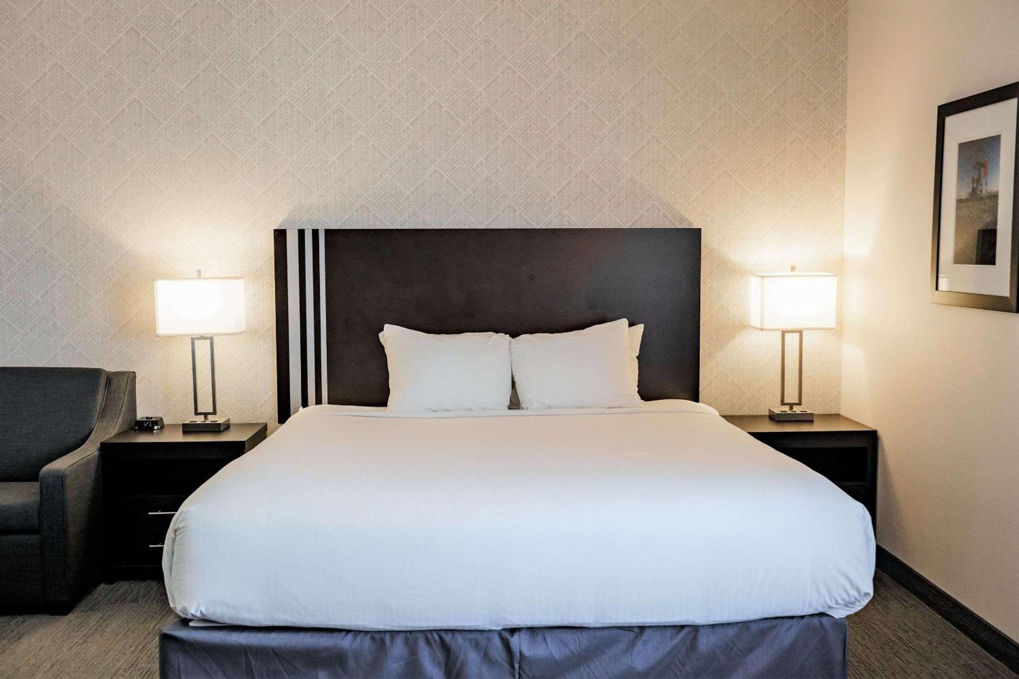 Park Inn By Radisson Edmonton Airport ليدوك المظهر الخارجي الصورة